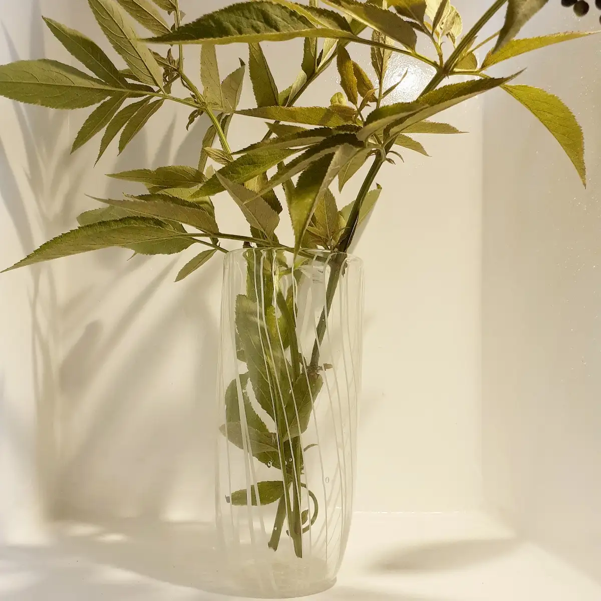Vase cristallo