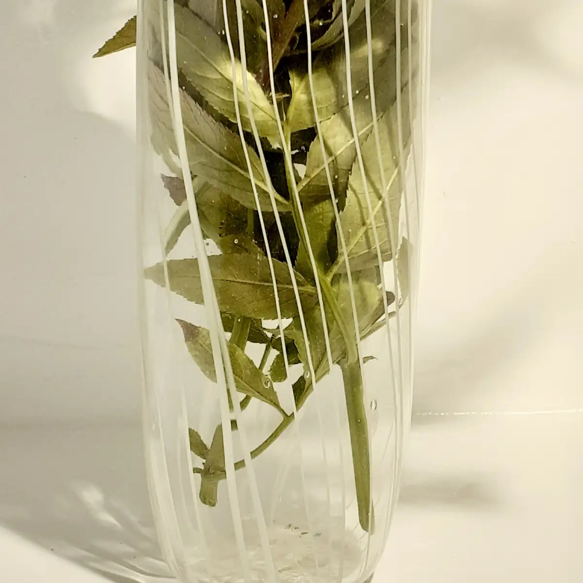 Vase cristallo