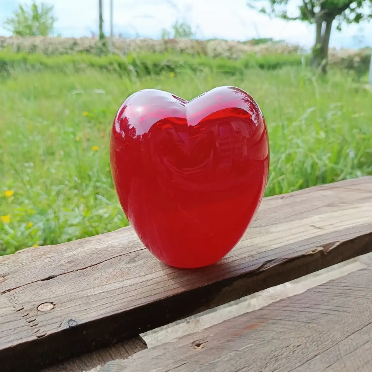 Vase coeur