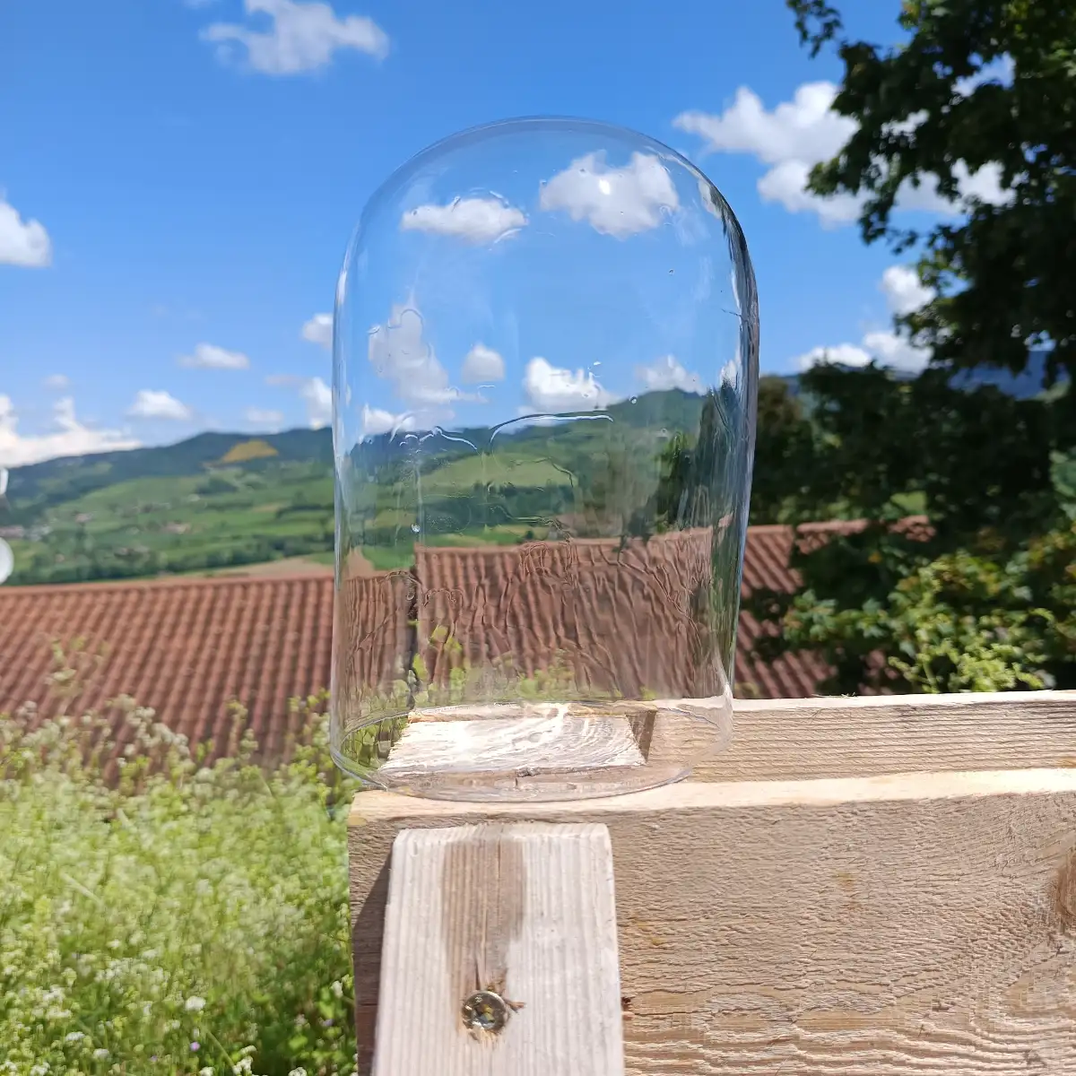 Cloches en verre